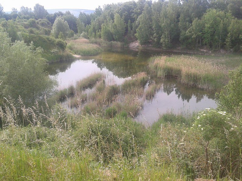 Exkursion in eine Sandgrube
