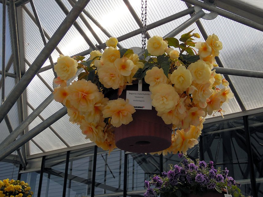 Landesgartenschau in Schmalkalden