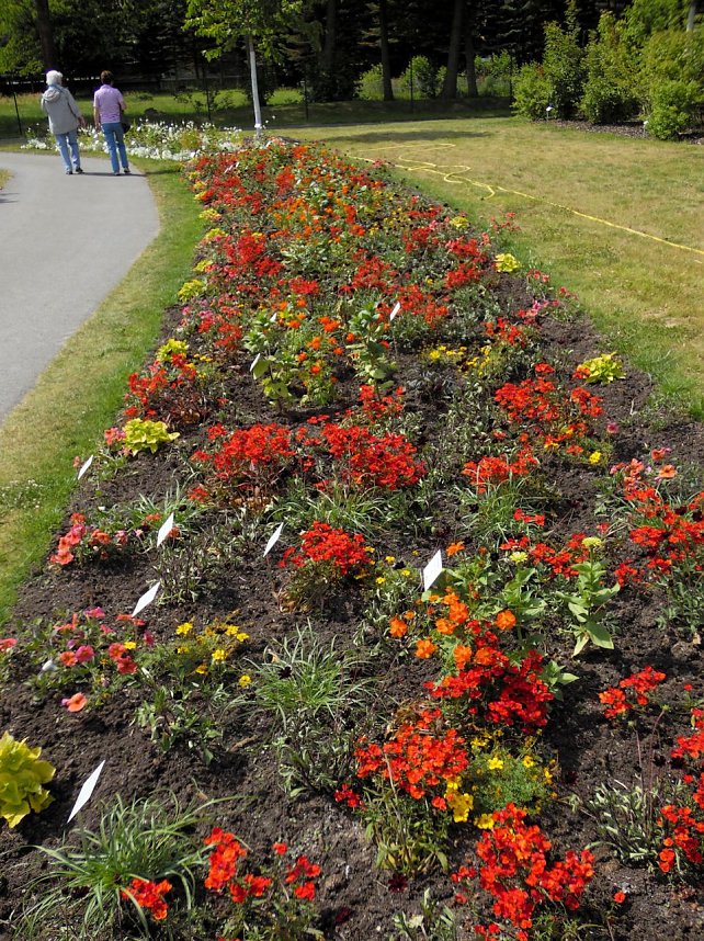 Landesgartenschau in Schmalkalden