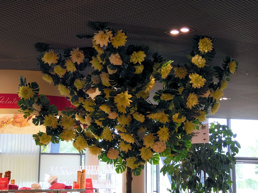 Landesgartenschau in Schmalkalden