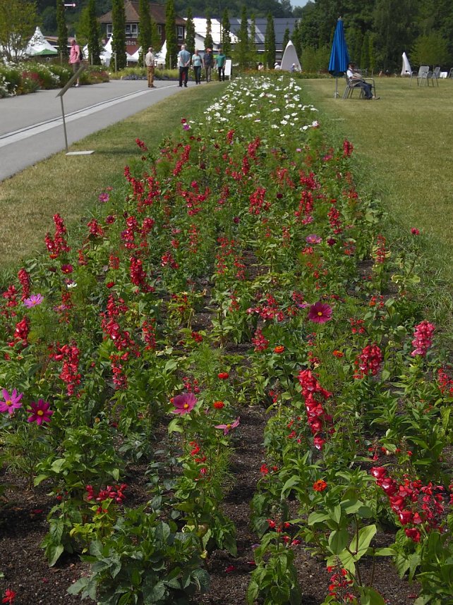Landesgartenschau in Schmalkalden