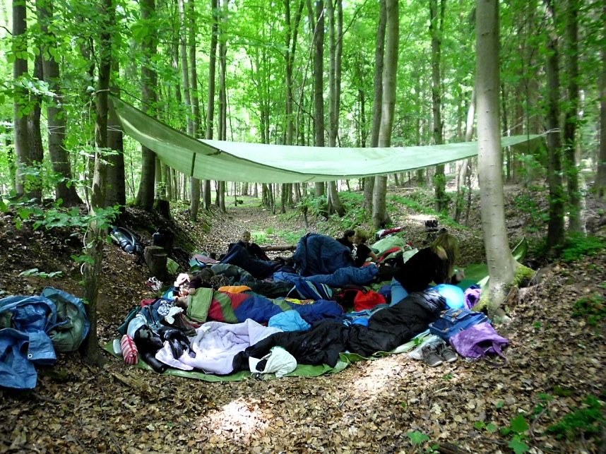 Abenteuer in der Wildnis vor der eigenen Haust&uuml;r - Ellrichs Regelsch&uuml;ler erkundeten den Stadtwald