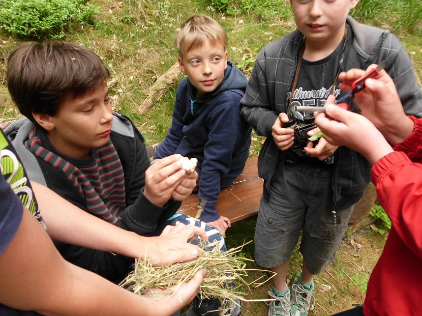 Abenteuer in der Wildnis vor der eigenen Haust&uuml;r - Ellrichs Regelsch&uuml;ler erkundeten den Stadtwald