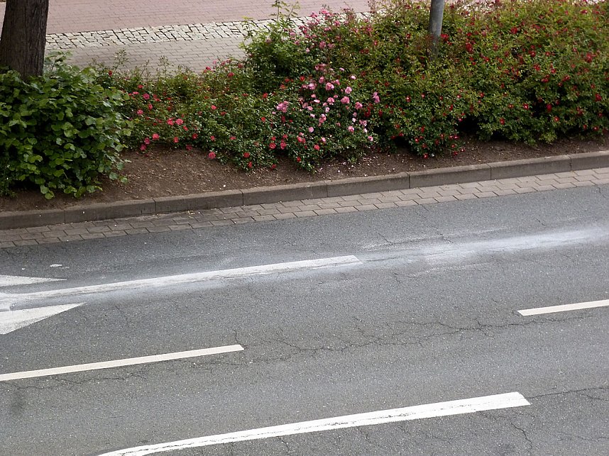 &Ouml;lspur beseitigt