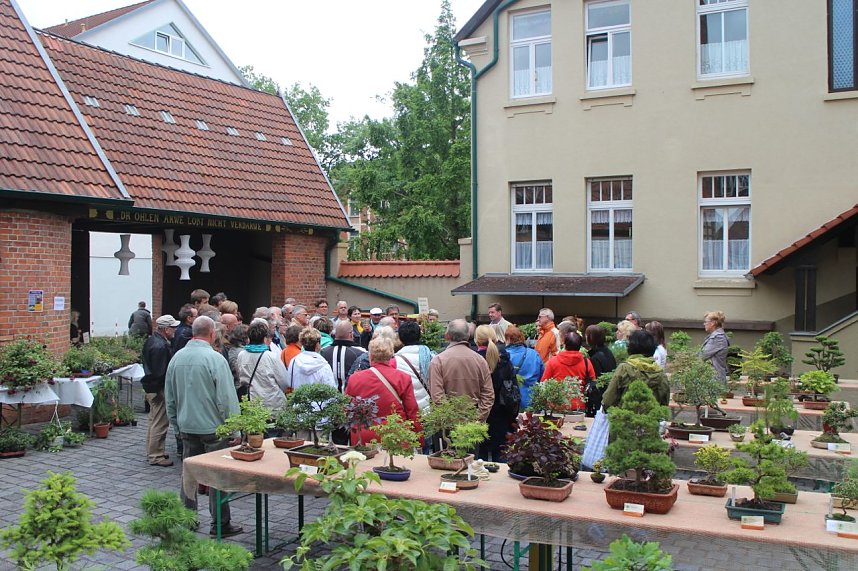 Fern&ouml;stliche Kunst in Gr&uuml;n - Bonsai-Ausstellung in der Echte Nordh&auml;user Traditionsbrennerei