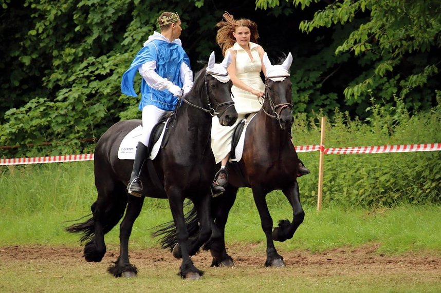 Pferde, Pferde und nochmals Pferde