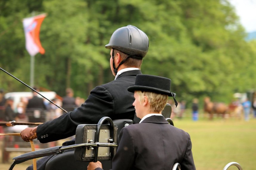 Pferde, Pferde und nochmals Pferde