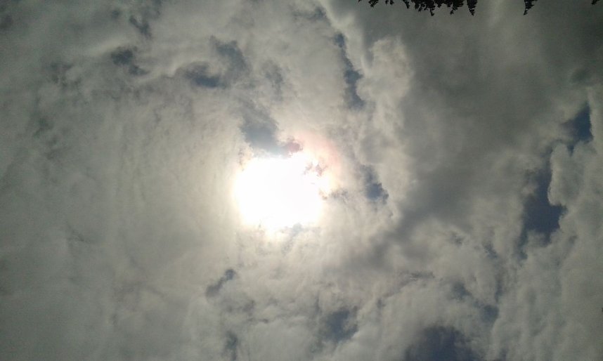 Johannisfest in Werna