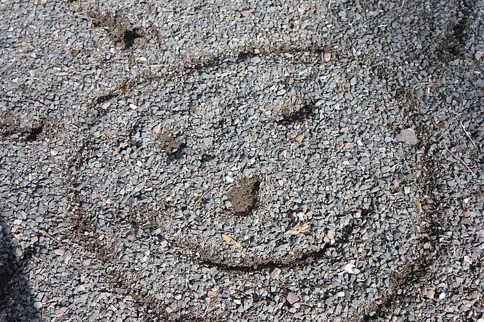 Gr&uuml;&szlig;e vom Fr&uuml;hling