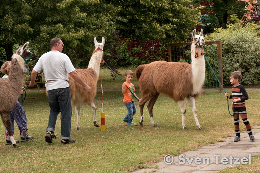 "Kleine Strolche" im Dschungelfieber
