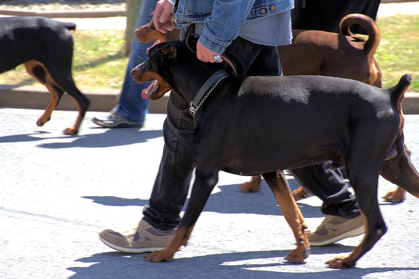Festumzug in Uthleben