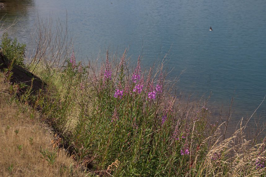 Industrie an den Bielener Kiesgew&auml;ssern