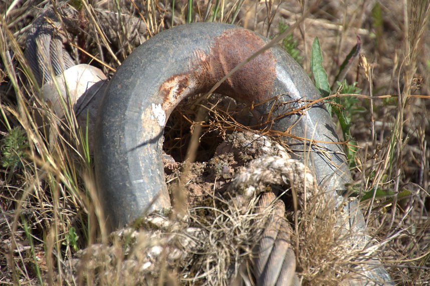 Industrie an den Bielener Kiesgew&auml;ssern