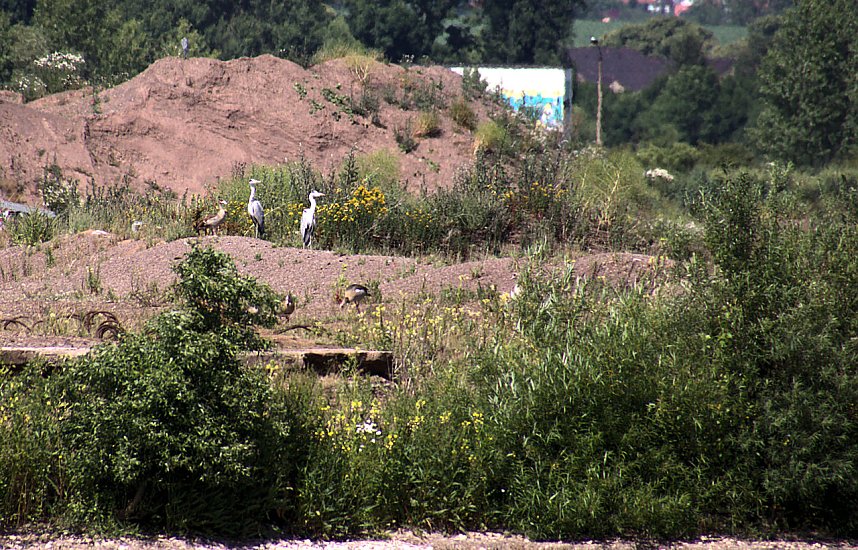 Industrie an den Bielener Kiesgew&auml;ssern