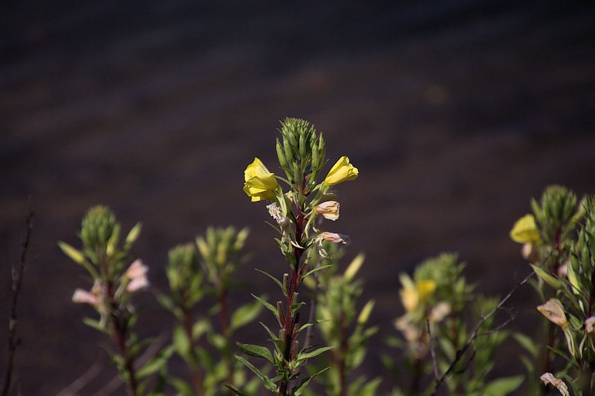 Industrie an den Bielener Kiesgew&auml;ssern
