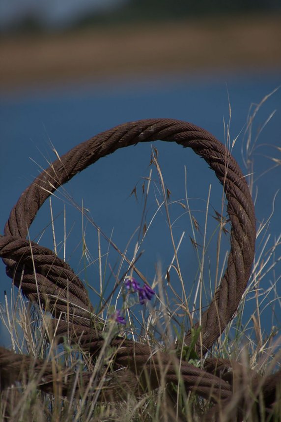 Industrie an den Bielener Kiesgew&auml;ssern