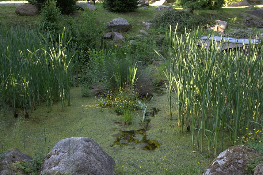 Peter Blei im St&auml;dtchen Schierke