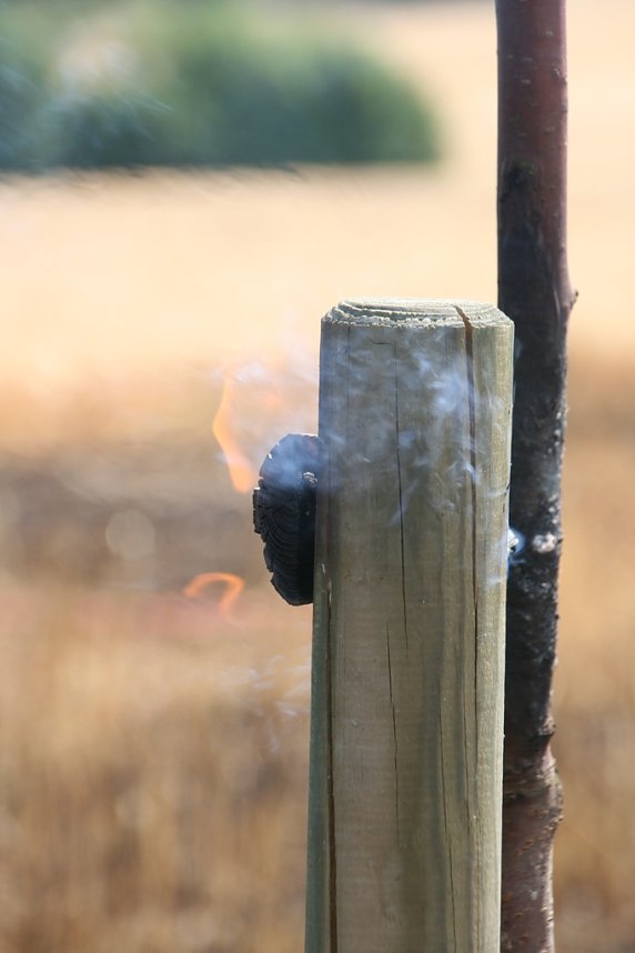 Feuer zwischen Klein- und Gro&szlig;furra