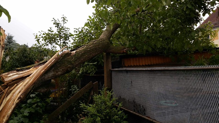 In Harztor war ein Baum umgest&uuml;rzt