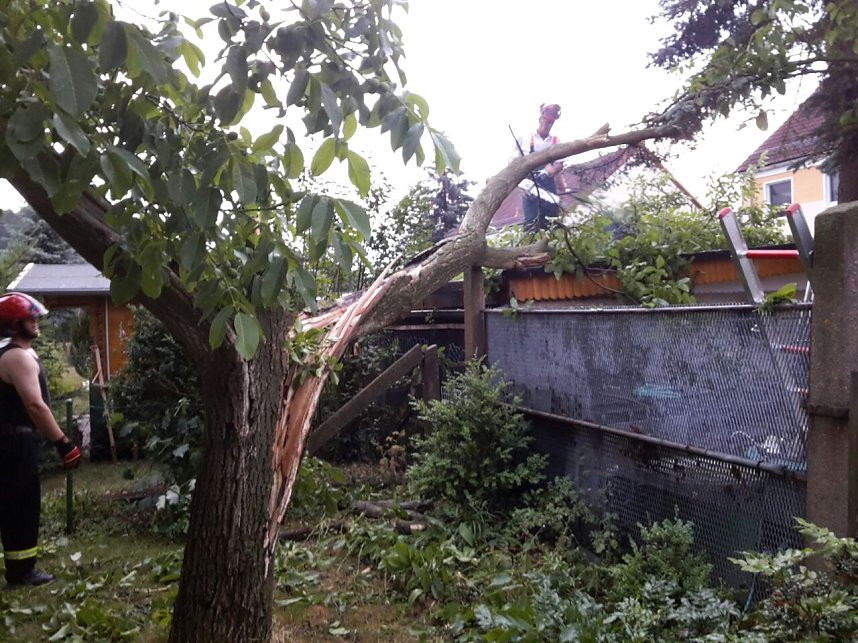 In Harztor war ein Baum umgest&uuml;rzt