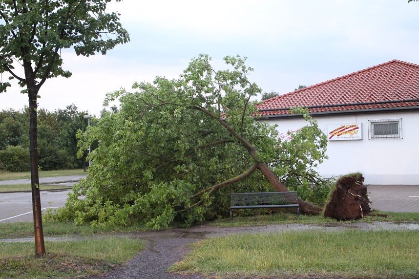 Sturmsch&auml;den in Nordhausen