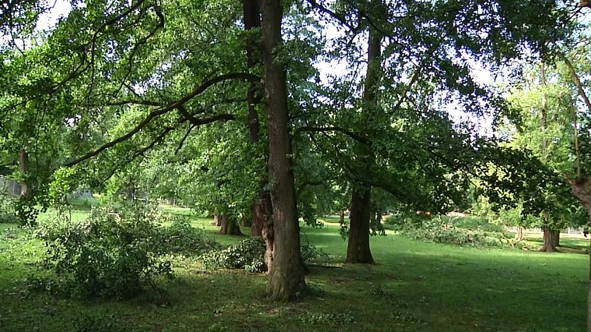 In den Morgenstunden wurde im Landkreis Nordhausen mit den Aufr&auml;umarbeiten begonnen