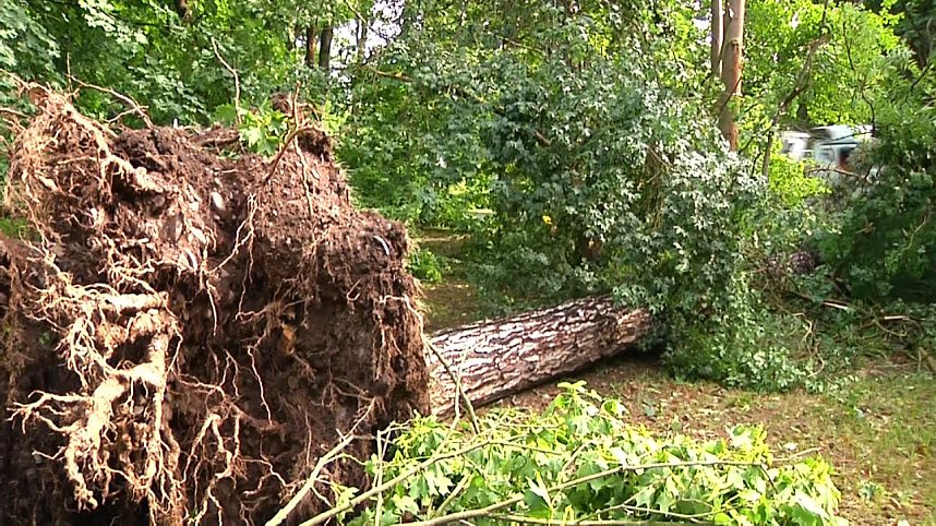 In den Morgenstunden wurde im Landkreis Nordhausen mit den Aufr&auml;umarbeiten begonnen