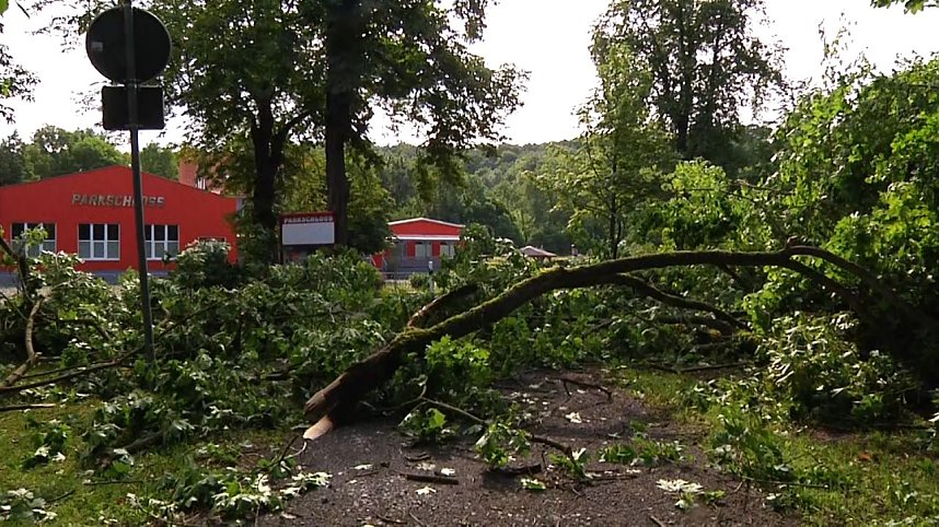 In den Morgenstunden wurde im Landkreis Nordhausen mit den Aufr&auml;umarbeiten begonnen