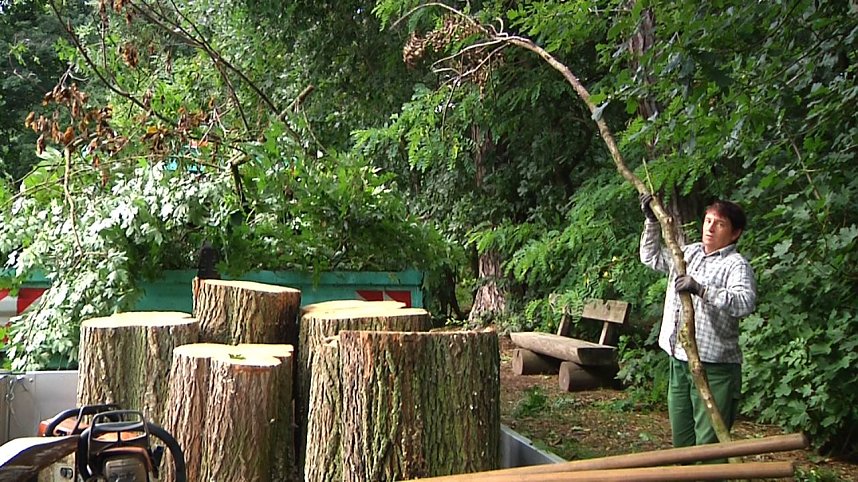 In den Morgenstunden wurde im Landkreis Nordhausen mit den Aufr&auml;umarbeiten begonnen