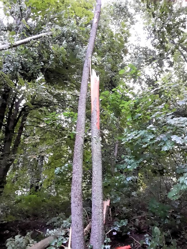 Unwettersch&auml;den in Nordhausen
