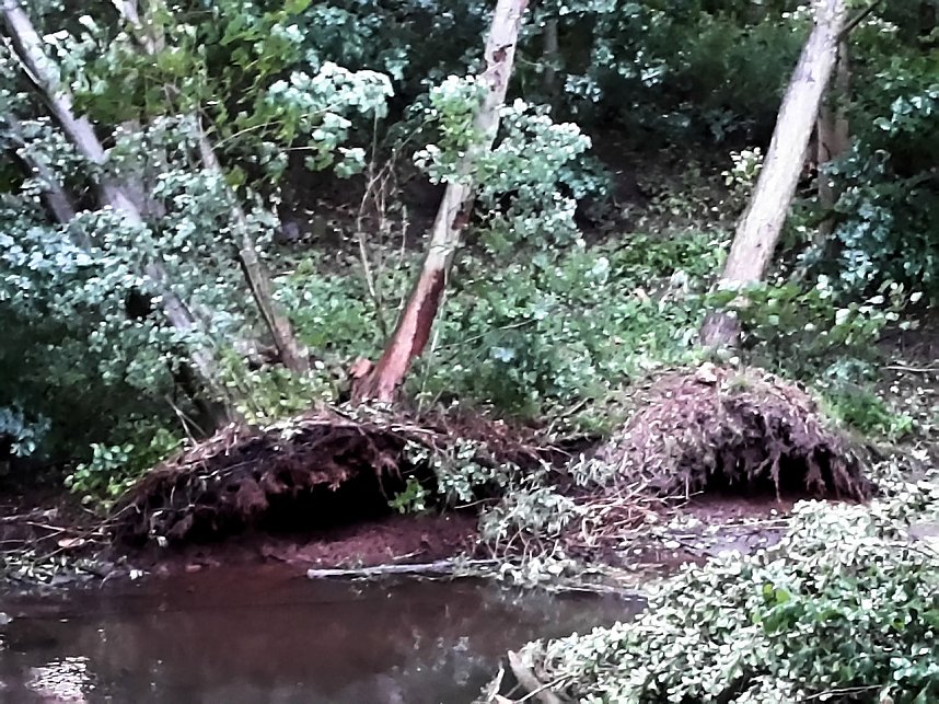 Unwettersch&auml;den in Nordhausen