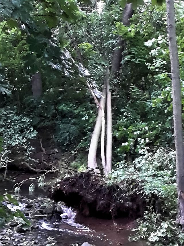 Unwettersch&auml;den in Nordhausen