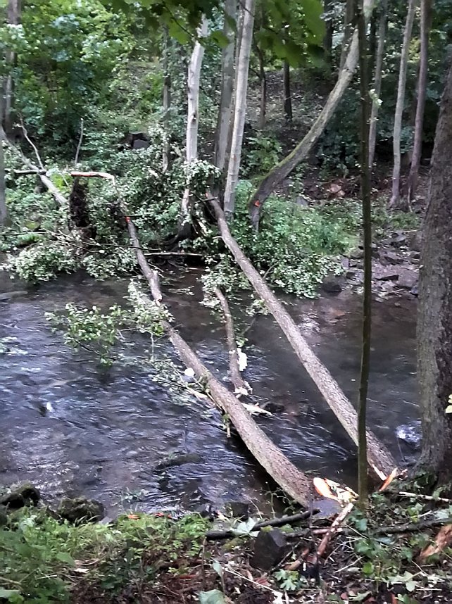 Unwettersch&auml;den in Nordhausen