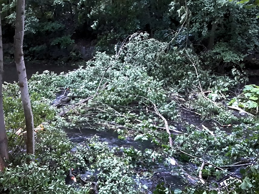 Unwettersch&auml;den in Nordhausen