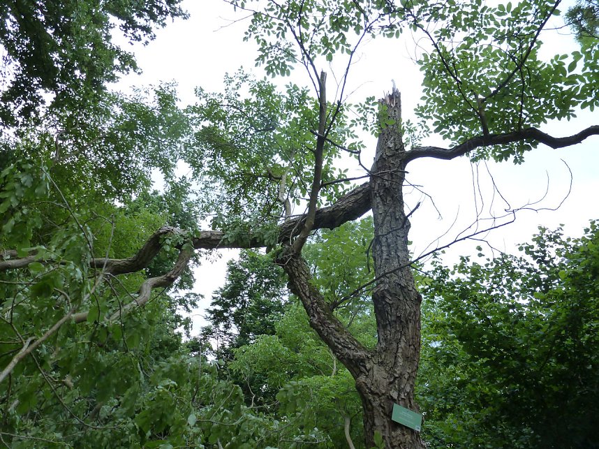 Unwettersch&auml;den in Nordhausen