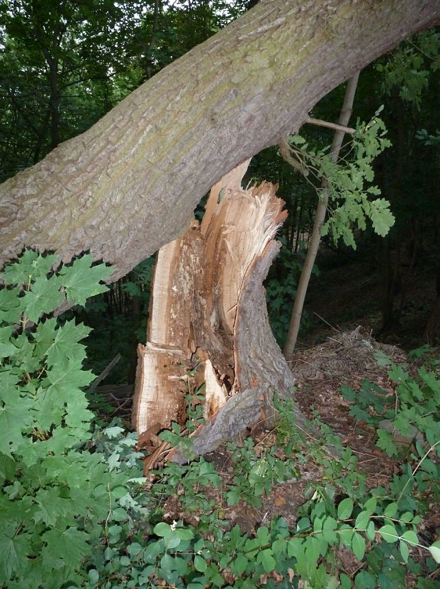 Unwettersch&auml;den in Nordhausen