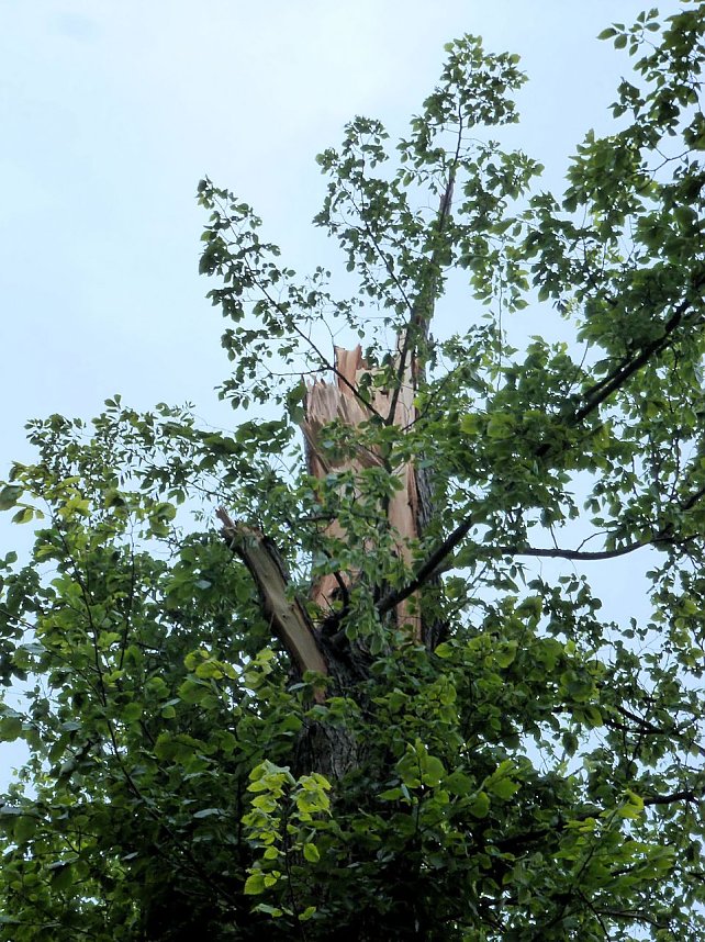 Unwettersch&auml;den in Nordhausen