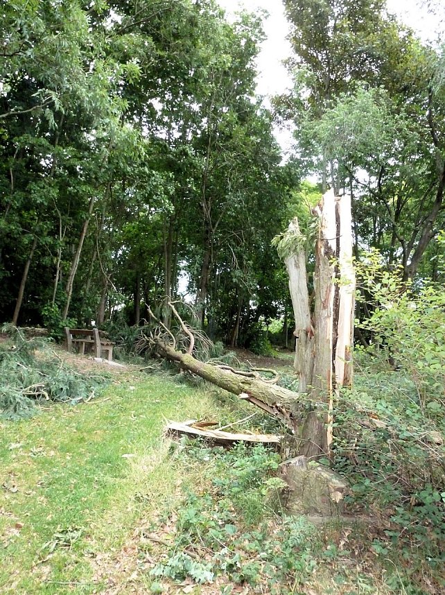 Unwettersch&auml;den in Nordhausen