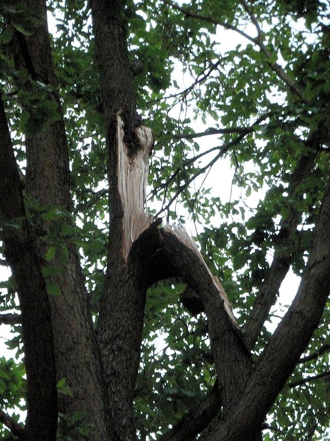 Unwettersch&auml;den in Nordhausen