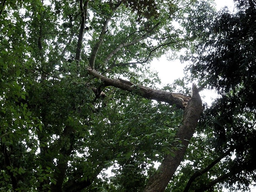 Unwettersch&auml;den in Nordhausen