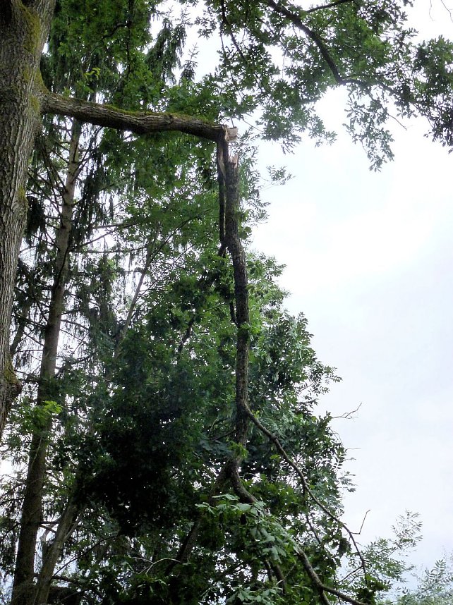 Unwettersch&auml;den in Nordhausen