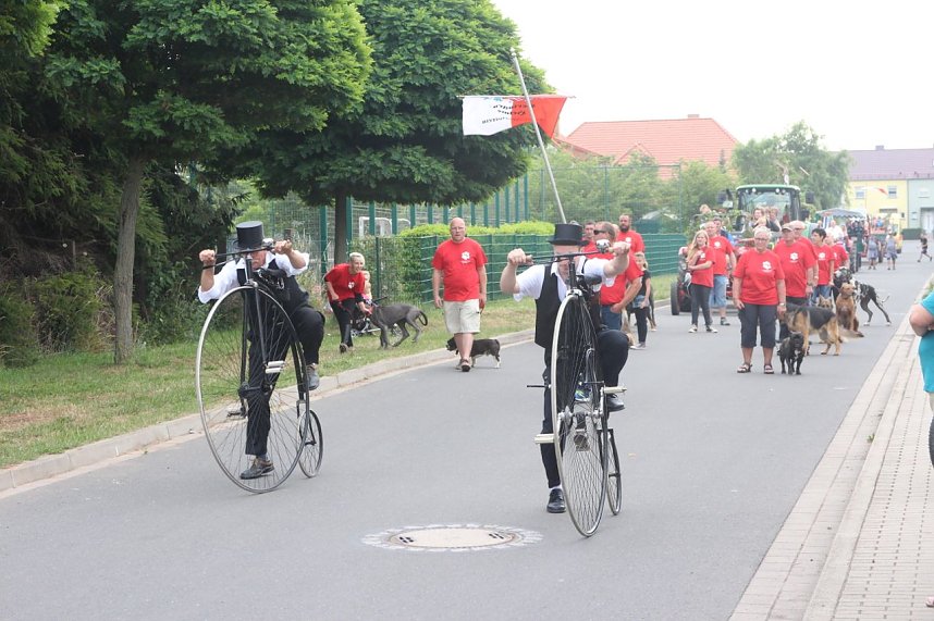 Festumzug in Heringen