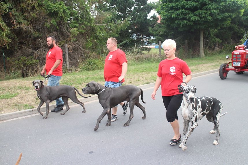Festumzug in Heringen