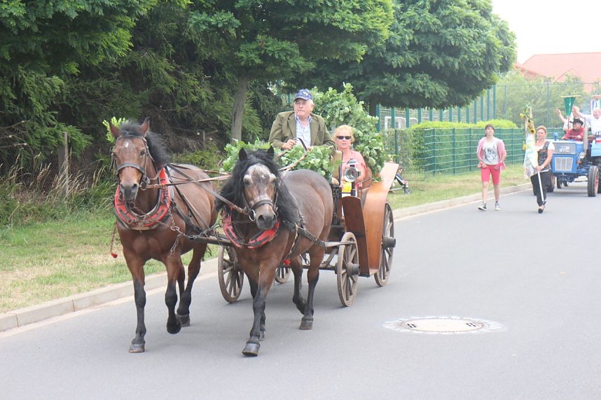 Festumzug in Heringen