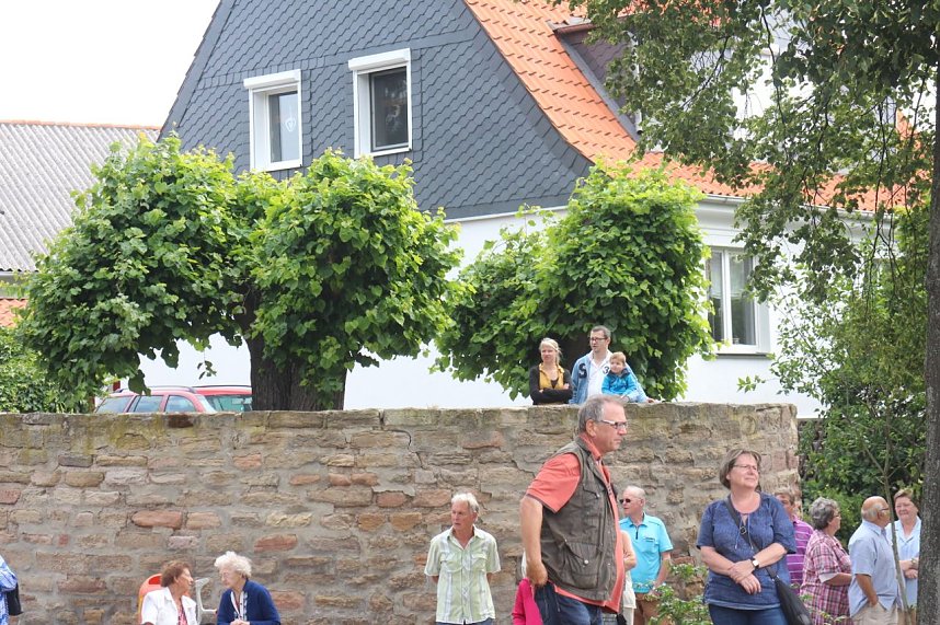 Festumzug in Heringen