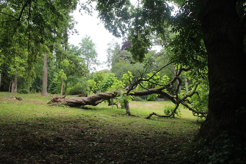 Im Park Hohenrode wurde heute das 10j&auml;hrige Jubil&auml;um des F&ouml;rdervereins gefeiert