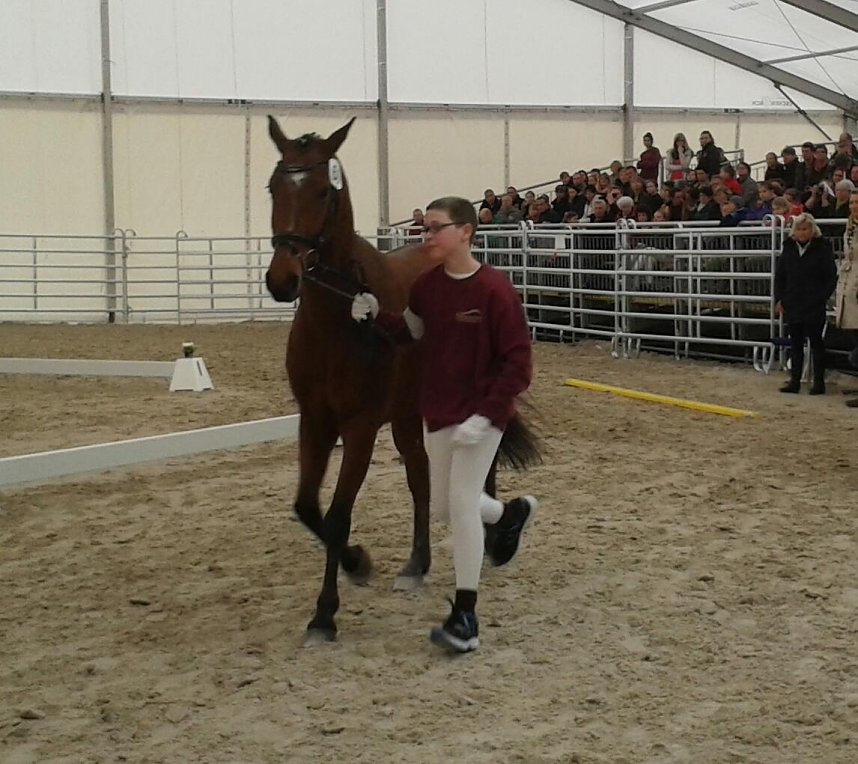 Bilder aus dem Vereinsleben