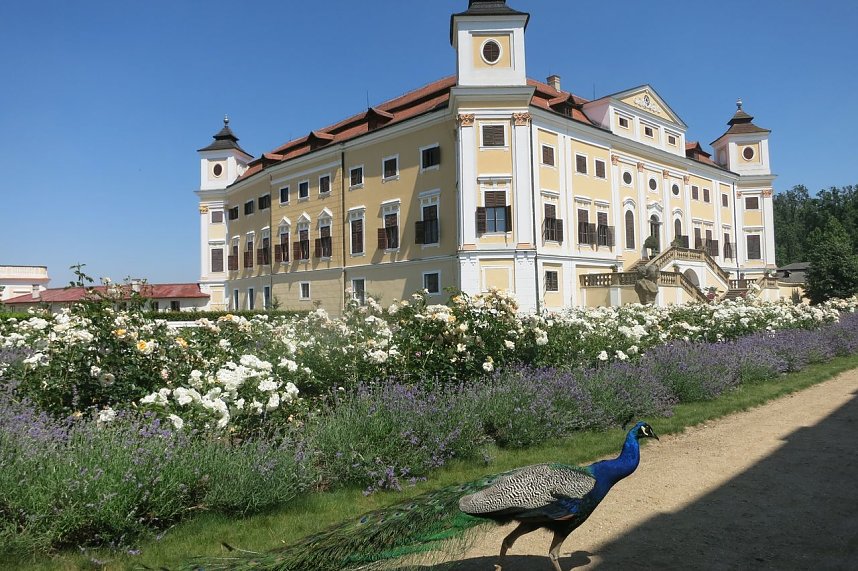 Radreise durch das sch&ouml;ne M&auml;hren