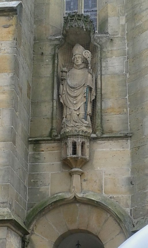 Der Tausendj&auml;hrige Rosenstock