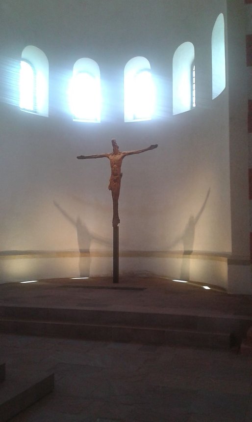 Der Tausendj&auml;hrige Rosenstock